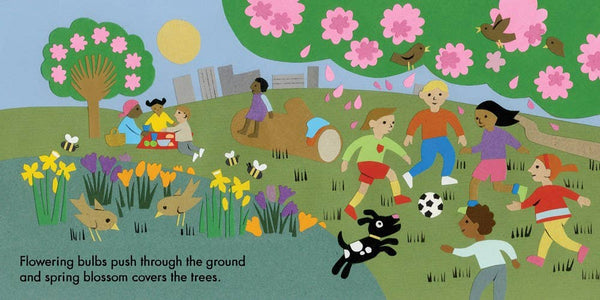 Children's Book, Little Observers: In the Park