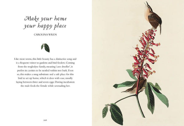 Book, Wisdom of Birds: Essential Life Lessons