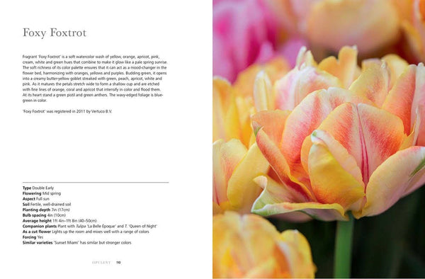 Book, Tulips: Beautiful Varieties for Home and Garden