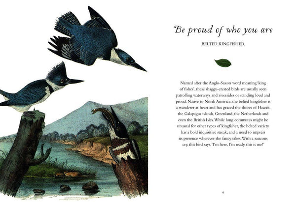 Book, Wisdom of Birds: Essential Life Lessons