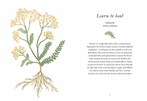 Book, Wisdom of Flowers