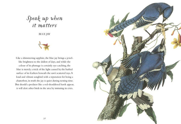 Book, Wisdom of Birds: Essential Life Lessons