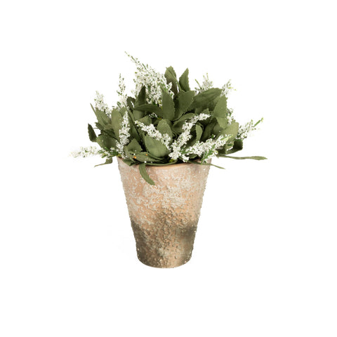 Potted Lavender Bloom - White