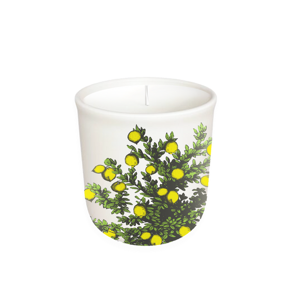 Candle, Lemon Tree, Terrace Collection