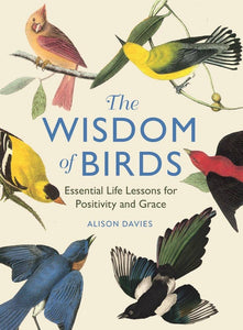 Book, Wisdom of Birds: Essential Life Lessons