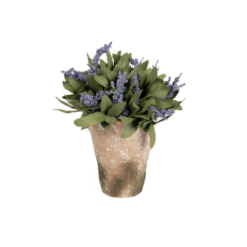 Potted Lavender Bloom - Purple