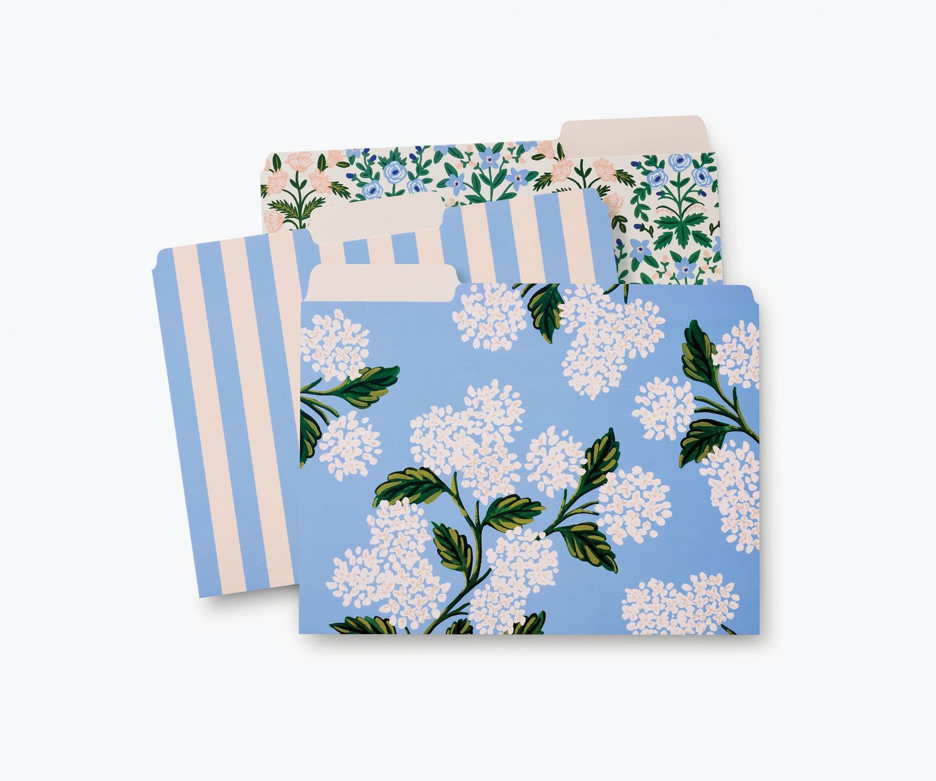 File Folder Set, Hydrangeas