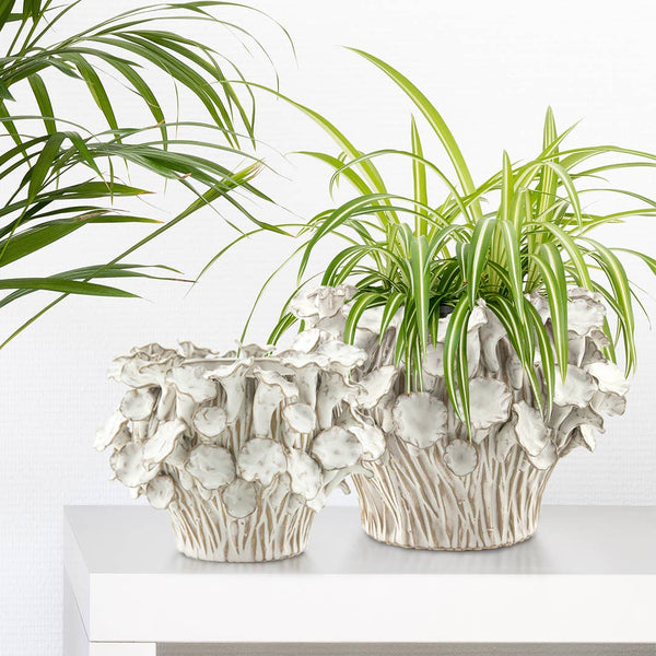 Planter/Vase, Blooming , White: Sm