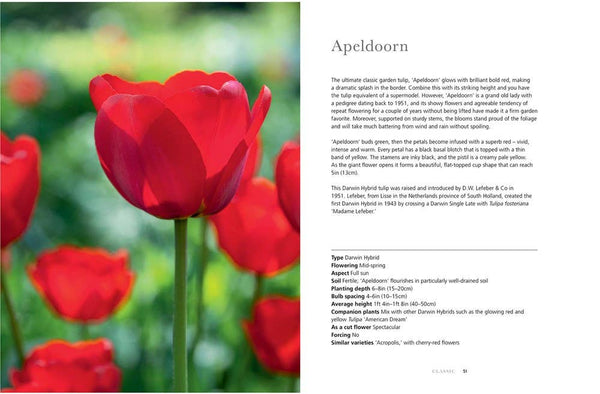 Book, Tulips: Beautiful Varieties for Home and Garden