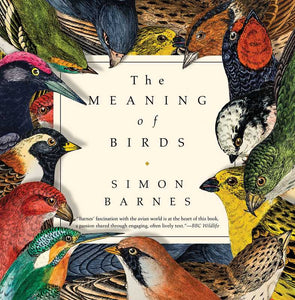 Book, Meaning of Birds