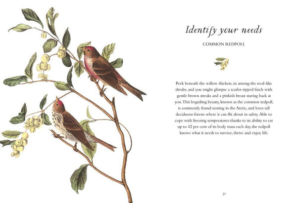 Book, Wisdom of Birds: Essential Life Lessons