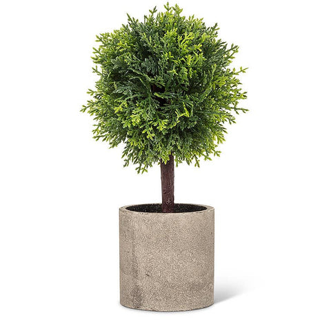 Green Conifer Topiary in Pot-9.5"H